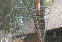 Make your own insect-repellent hanging garden in your stable