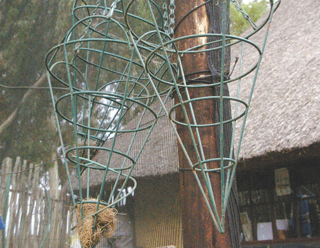 Make your own insect-repellent hanging garden in your stable Make your own insect-repellent hanging garden in your stable
