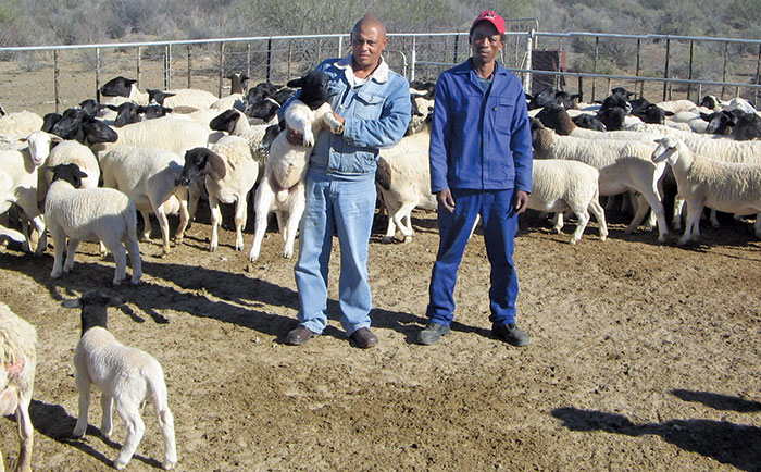 Northern Cape’s mentorship success! Northern Cape’s mentorship success!