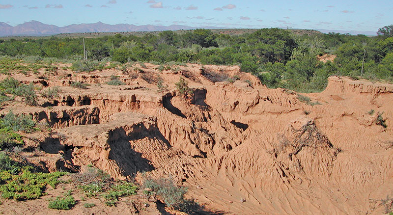 Inspect the land before you buy Inspect the land before you buy