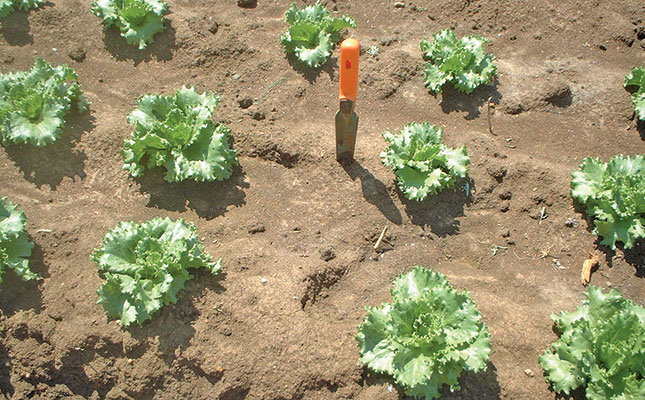 Preparing a land for small-scale cultivation with hand tools