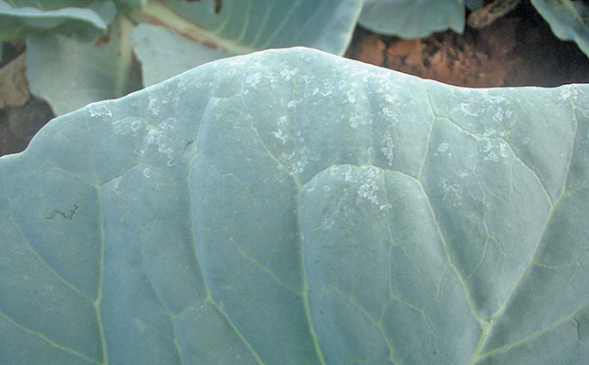 Understanding spray mixtures Understanding spray mixtures