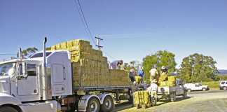 DIY straw bale house