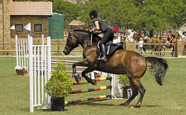 Jumping high! Jumping high!