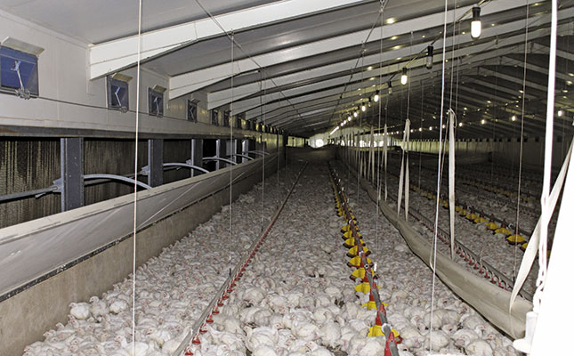 The key to running a top broiler business