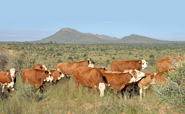 Manage the breeding season for profitable production