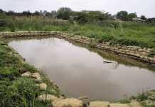 Making-fish-farming-work