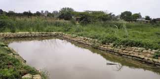 Making-fish-farming-work