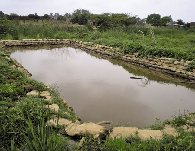 Making fish farming work