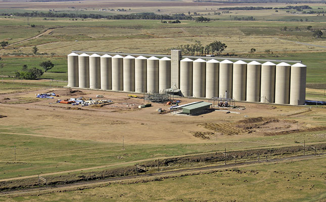 Soya bean processing plant growth