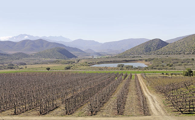 Challenges facing SA fruit farmers Challenges facing SA fruit farmers