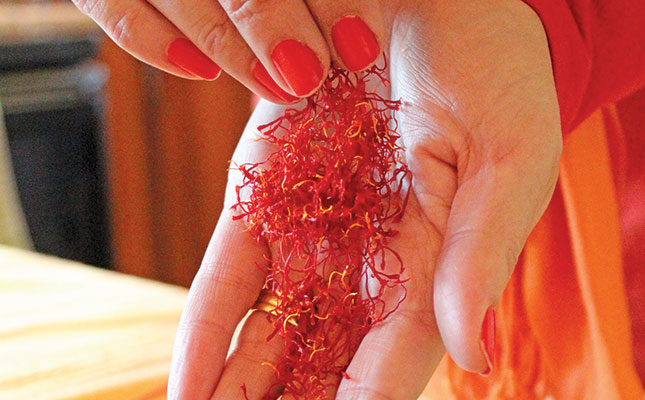 A guide to farming saffron in South Africa