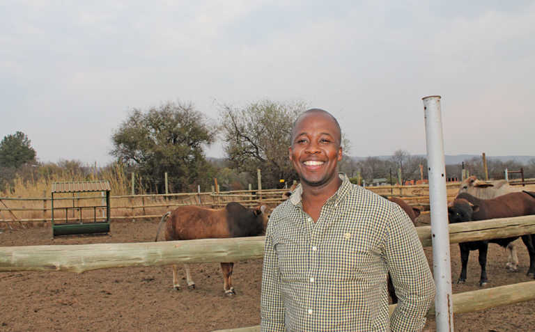 ‘Feedlotting changed my buy and braai business’