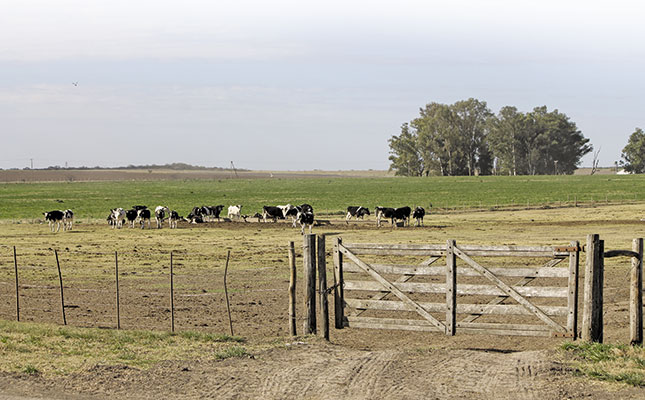 From corner supermarket to global dairy business