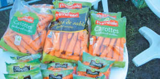 Marketing and presentation of your carrot crop