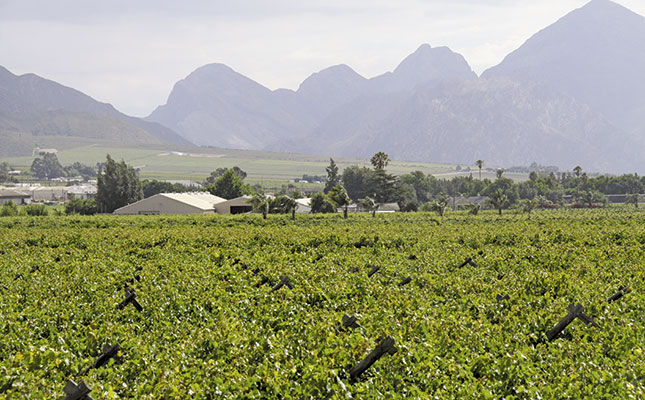 Dutch fruit importers require transparency