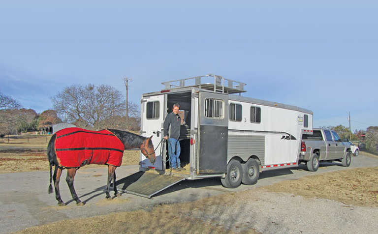 Transporting your horse Transporting your horse