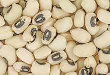 Dry beans: learn how to get into the business