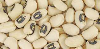 Dry beans: learn how to get into the business