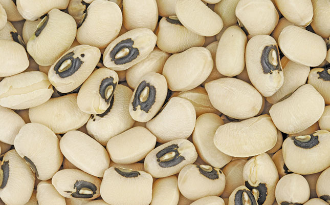 Dry beans: learn how to get into the business Dry beans: learn how to get into the business