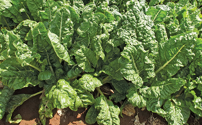 Know your spinach variants Know your spinach variants
