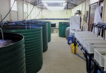indoor aquaculture systems