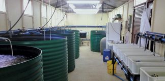 indoor aquaculture systems