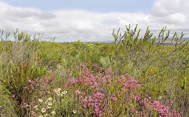 Turning the conservation tide on the Agulhas Plain Turning the conservation tide on the Agulhas Plain