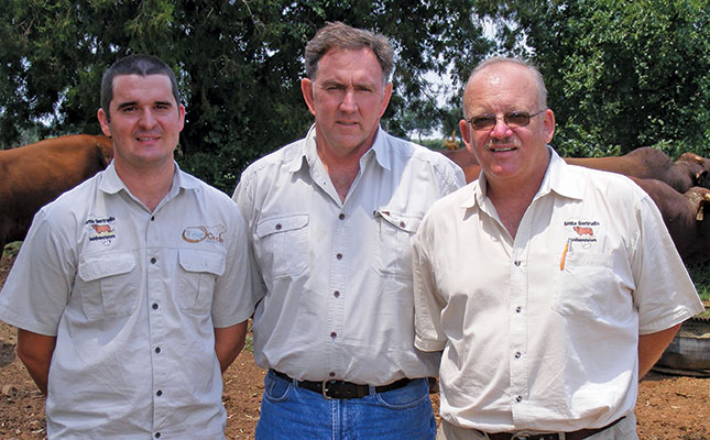 santa gertrudis breeders
