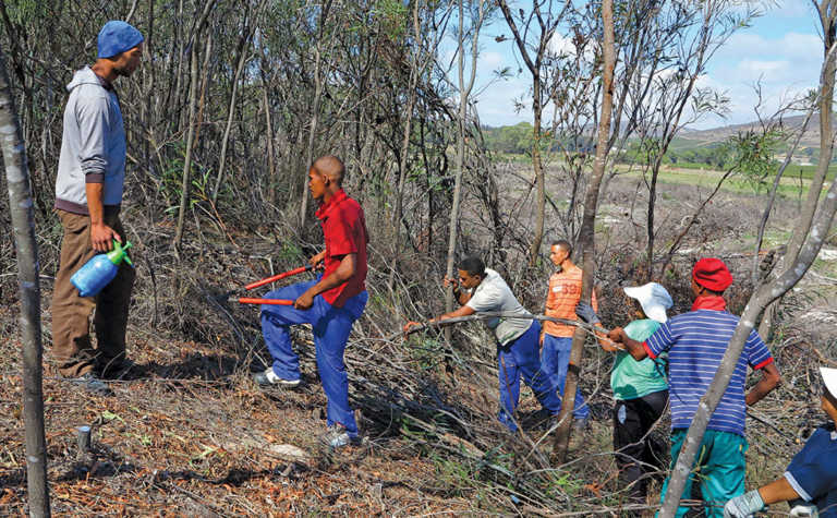 The challenges of being a farm manager The challenges of being a farm manager