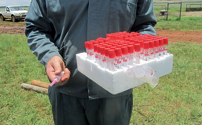 Brucellosis: a common danger Brucellosis: a common danger
