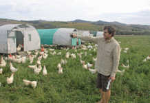 Farmer Angus McIntosh