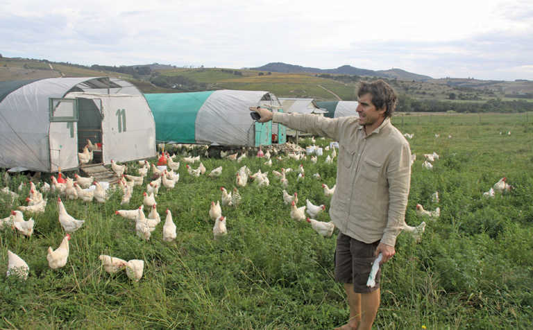 Free-range and carbon credits pay off for Farmer Angus