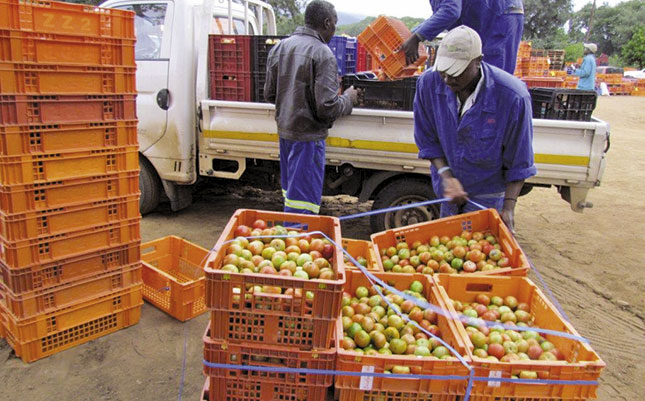 Shaking things up at Mooketsi