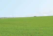 Lucerne for beginners - part 1