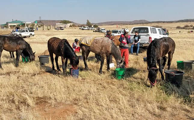 Fauresmith endurance ride test riders to their limits