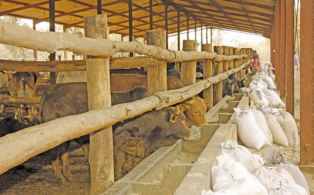 Improved outlook for beef production Improved outlook for beef production