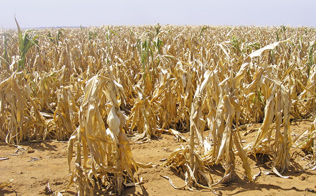 How emerging farmers can handle price risk How emerging farmers can handle price risk