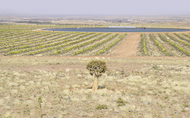 Empowerment in the Kalahari