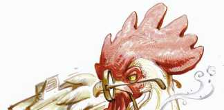Why-poultry-farmers-fail