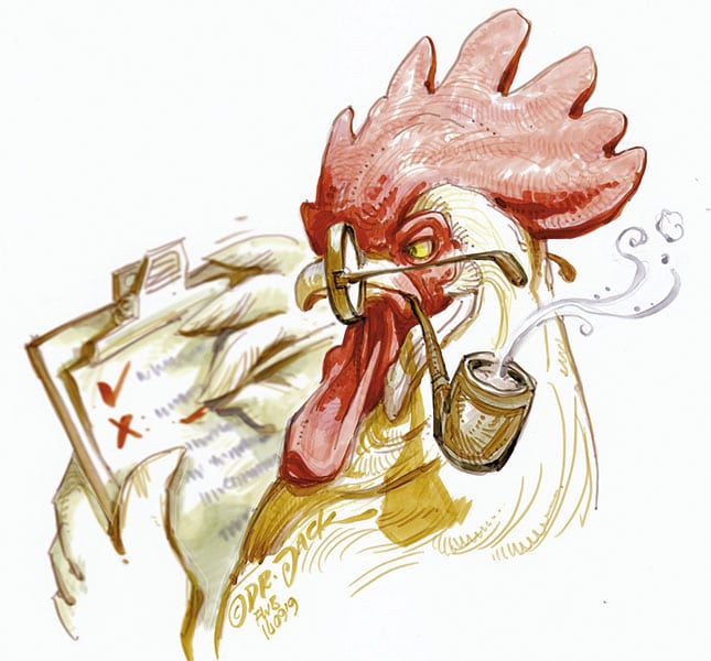 Why poultry farmers fail Why poultry farmers fail