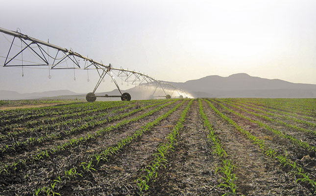 No-till in SA – The message spreads No-till in SA – The message spreads