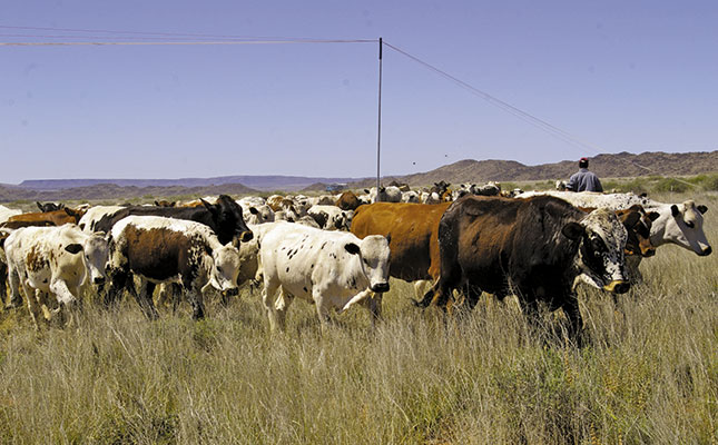 Get the grazing right! Get the grazing right!