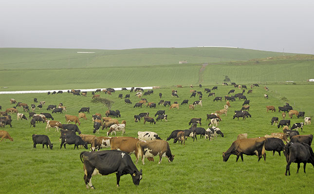 Dairy consultant transforming the dairy industry Dairy consultant transforming the dairy industry