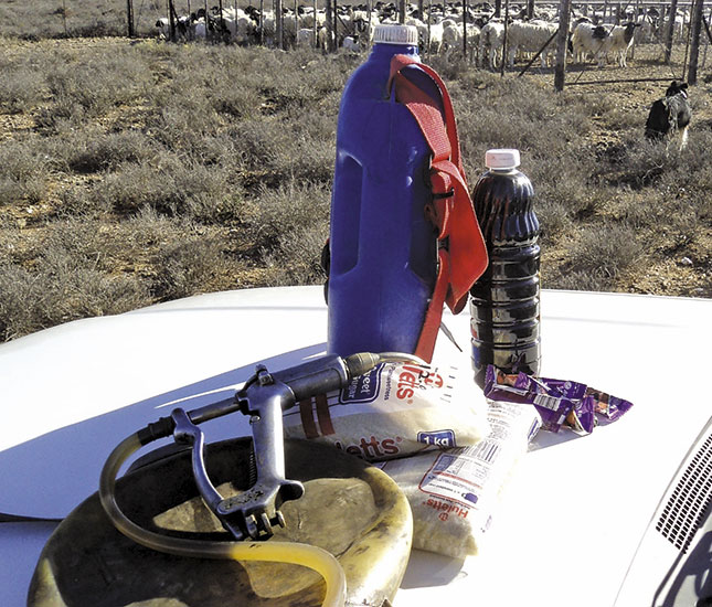 Home-made tonic for sheep