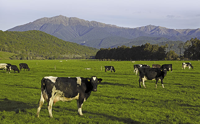 Can once-a-day milking work in South Africa?