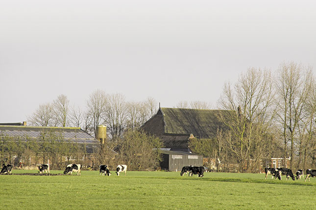 New dairy export era as EU quotas end New dairy export era as EU quotas end