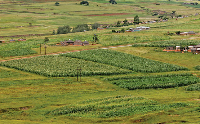 SA’s experts on implementing conservation agriculture SA’s experts on implementing conservation agriculture