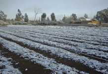 Preparing your land for winter