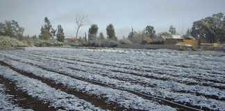 Preparing your land for winter